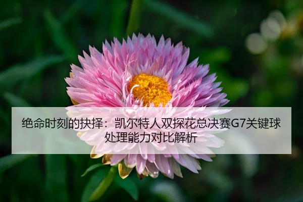 jue-ming-shi-ke-de-jue-ze-kai-er-te-ren-shuang-tan-hua-zong-jue-sai-guan-jian-qiu-chu-li-neng-li-dui-bi-jie-xi-2-613.jpg