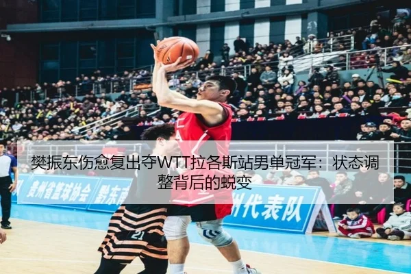樊振东伤愈复出夺WTT拉各斯站男单冠军：状态调整背后的蜕变