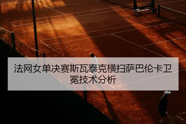 fa-wang-nv-dan-jue-sai-si-wa-tai-ke-heng-sao-sa-ba-lun-ka-wei-mian-ji-shu-fen-xi-2-389.jpg