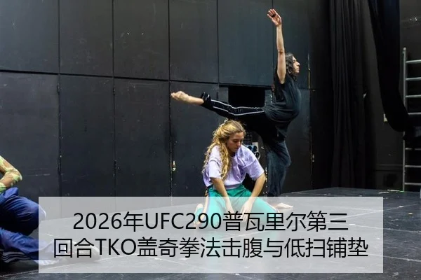 2026年UFC290普瓦里尔第三回合TKO盖奇拳法击腹与低扫铺垫
